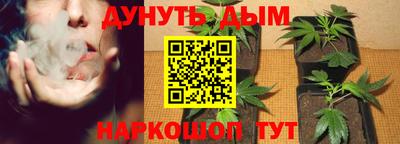 прущие крисы Мариинск