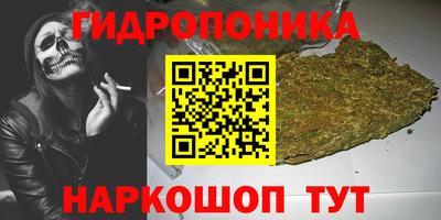 прущие крисы Мариинск